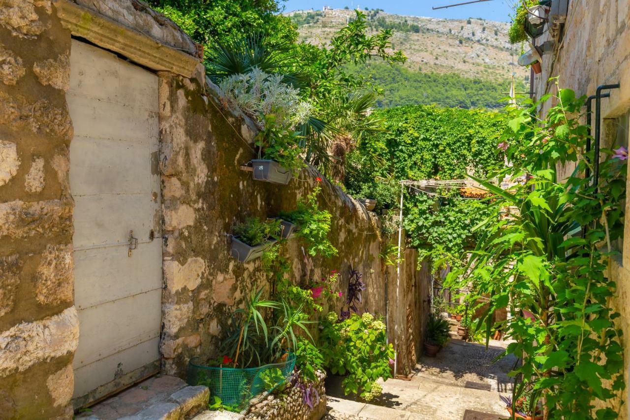 Old Town House With Floor Heating & Lush Private Garden Villa Dubrovnik Exterior photo