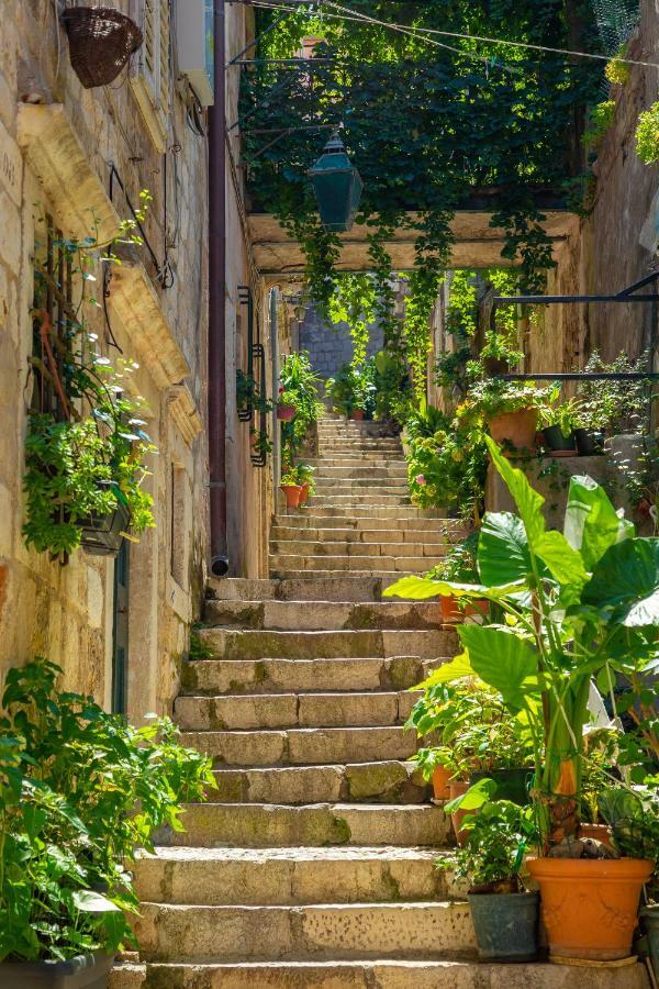 Old Town House With Floor Heating & Lush Private Garden Villa Dubrovnik Exterior photo